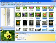Abander PhotosControl screenshot